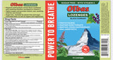 Olbas Lozenges Black Current 24 Loz